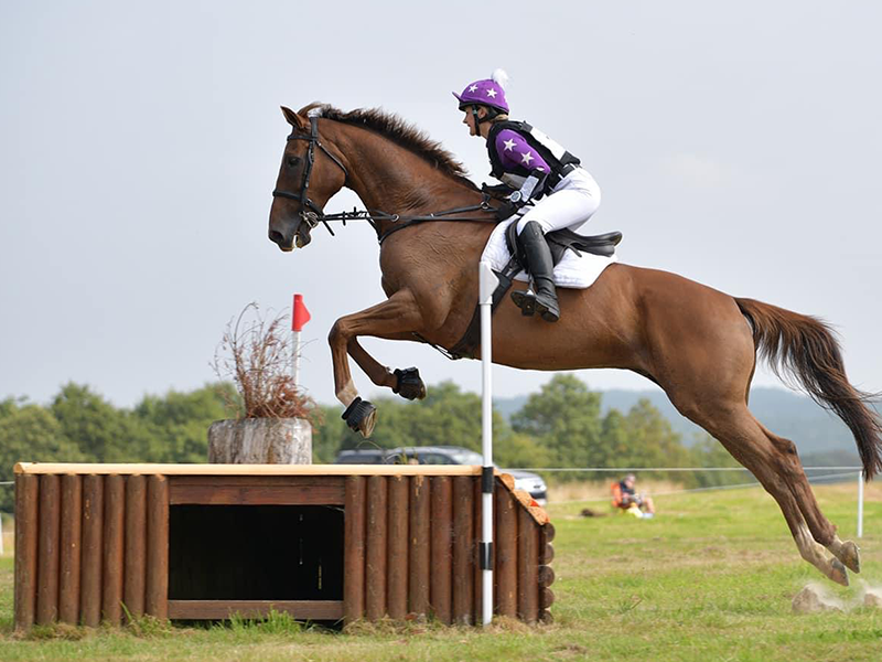 Jenny Martin, Equine & Canine Massage Therapist